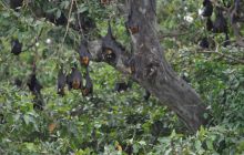 Zdjęcia z wyjazdu Malediwy, Sri Lanka