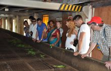 Zdjęcia z wyjazdu Malediwy, Sri Lanka