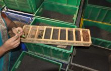 Zdjęcia z wyjazdu Malediwy, Sri Lanka