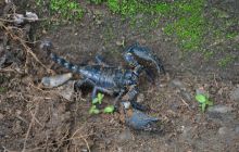 Zdjęcia z wyjazdu Malediwy, Sri Lanka