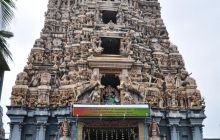 Zdjęcia z wyjazdu Malediwy, Sri Lanka