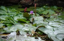 Zdjęcia z wyjazdu Malediwy, Sri Lanka