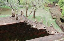 Zdjęcia z wyjazdu Malediwy, Sri Lanka