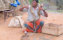 Zdjęcia z wyjazdu Malediwy, Sri Lanka