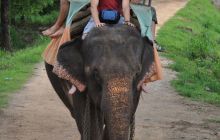 Zdjęcia z wyjazdu Malediwy, Sri Lanka