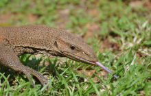 Zdjęcia z wyjazdu Malediwy, Sri Lanka