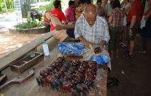 Zdjęcia z wyjazdu Malediwy, Sri Lanka