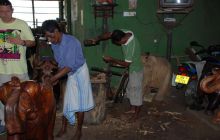 Zdjęcia z wyjazdu Malediwy, Sri Lanka