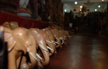 Zdjęcia z wyjazdu Malediwy, Sri Lanka