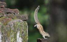 Zdjęcia z wyjazdu Malediwy, Sri Lanka