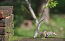 Zdjęcia z wyjazdu Malediwy, Sri Lanka