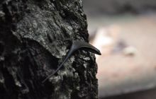 Zdjęcia z wyjazdu Malediwy, Sri Lanka