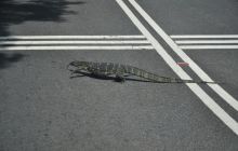 Zdjęcia z wyjazdu Malediwy, Sri Lanka