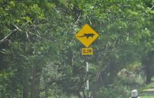 Zdjęcia z wyjazdu Malediwy, Sri Lanka