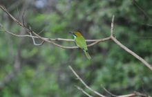 Zdjęcia z wyjazdu Malediwy, Sri Lanka