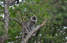 Zdjęcia z wyjazdu Malediwy, Sri Lanka