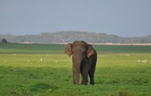 Zdjęcia z wyjazdu Malediwy, Sri Lanka