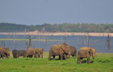 Zdjęcia z wyjazdu Malediwy, Sri Lanka