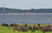 Zdjęcia z wyjazdu Malediwy, Sri Lanka