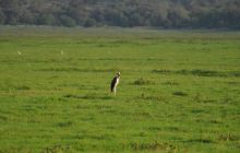 Zdjęcia z wyjazdu Malediwy, Sri Lanka