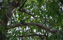 Zdjęcia z wyjazdu Malediwy, Sri Lanka