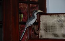 Zdjęcia z wyjazdu Malediwy, Sri Lanka