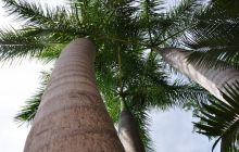 Zdjęcia z wyjazdu Malediwy, Sri Lanka