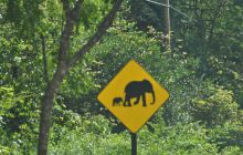 Zdjęcia z wyjazdu Malediwy, Sri Lanka