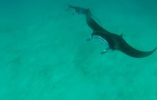 Zdjęcia z wyjazdu Malediwy, Sri Lanka