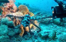 Zdjęcia z wyjazdu Malediwy, Sri Lanka