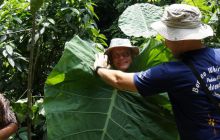 Zdjęcia z Papua - listopad 2012