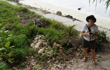 Zdjęcia z Papua - listopad 2012