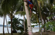 Zdjęcia z Papua - listopad 2012