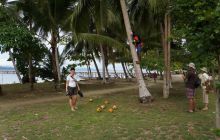 Zdjęcia z Papua - listopad 2012