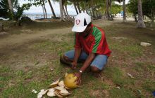 Zdjęcia z Papua - listopad 2012