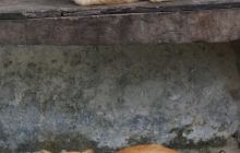 Zdjęcia z Papua - listopad 2012