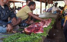 Zdjęcia z Papua - listopad 2012