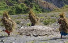 Zdjęcia z Papua - listopad 2012