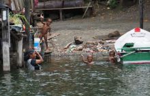 Zdjęcia z Papua - listopad 2012