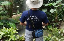 Zdjęcia z Papua - listopad 2012