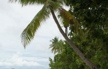 Zdjęcia z Papua - listopad 2012