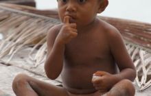 Zdjęcia z Papua - listopad 2012