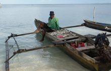 Zdjęcia z Papua - listopad 2012