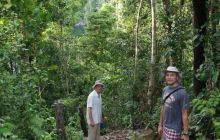 Zdjęcia z Papua - listopad 2012