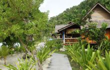 Zdjęcia z Papua - listopad 2012