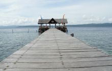 Zdjęcia z Papua - listopad 2012