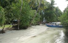 Zdjęcia z Papua - listopad 2012