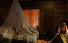 Zdjęcia z Papua - listopad 2012