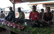 Zdjęcia z Papua - listopad 2012