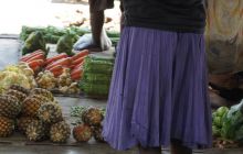 Zdjęcia z Papua - listopad 2012